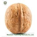 Factory price competitive walnut kernels Pieces